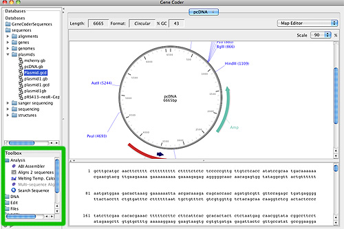 GeneCoder Toolbox